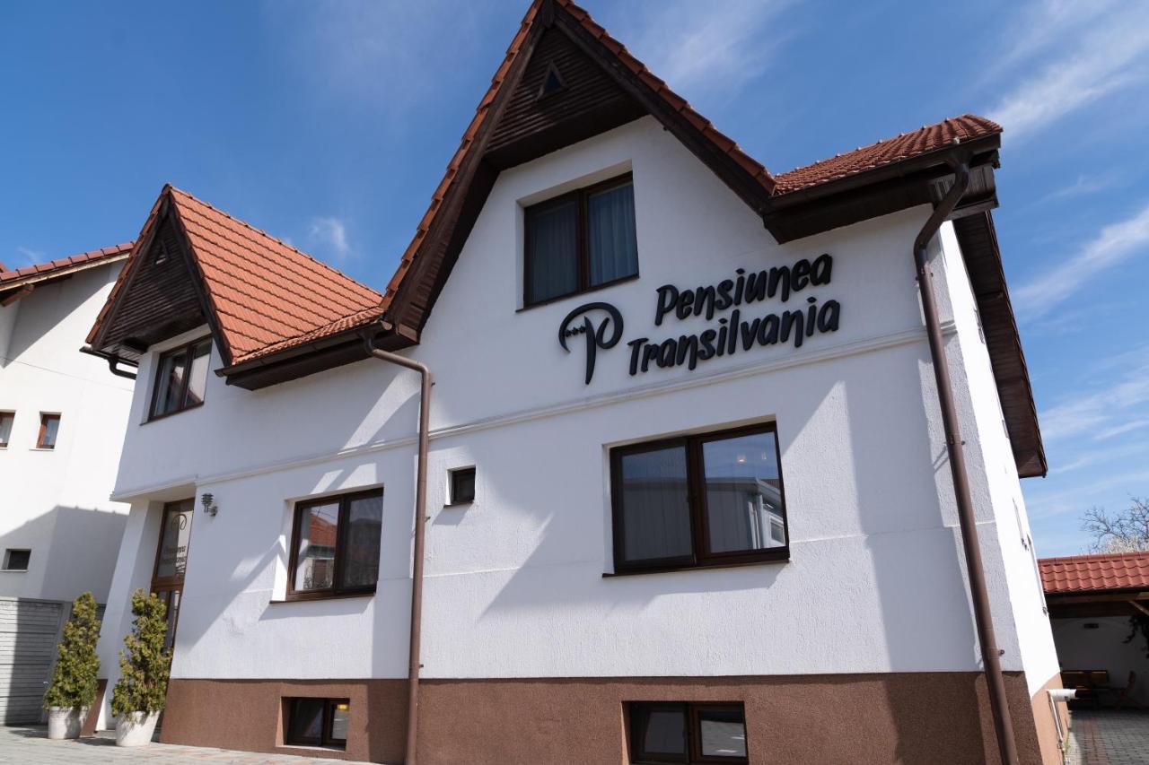 Pensiunea Transilvania Hermannstadt Exterior foto